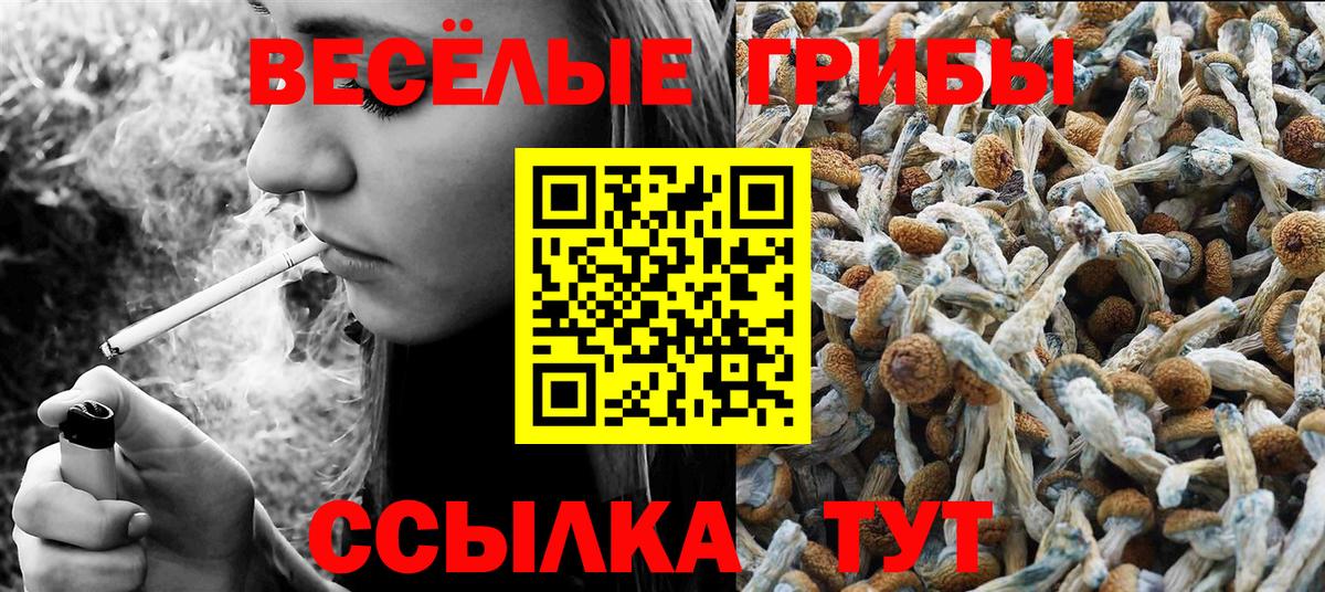 Псилоцибиновые грибы Cubensis  Псилоцибиновые грибы прущие грибы  Вход с VPN  Киров 