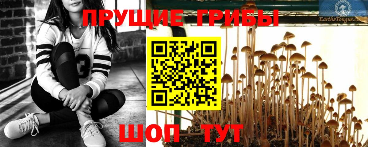 Псилоцибиновые грибы Magic Shrooms Киров